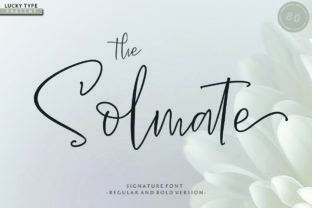 The Solmate Script: A Designer's Guide to Elegant Branding