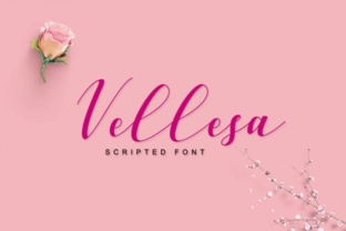 The Timeless Elegance of Vellesa Script for Your Designs